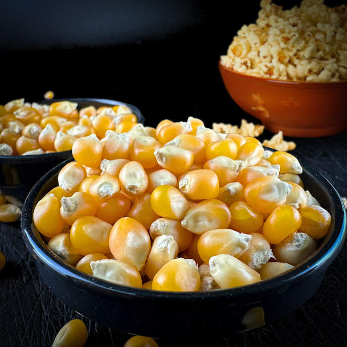 Popkorna kukurūzas graudi