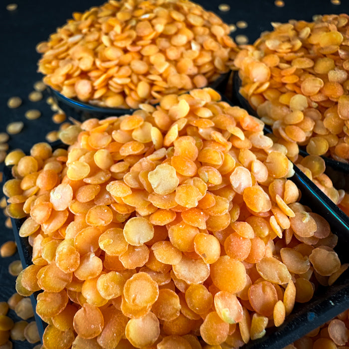 Sarkanās lobītās lēcas