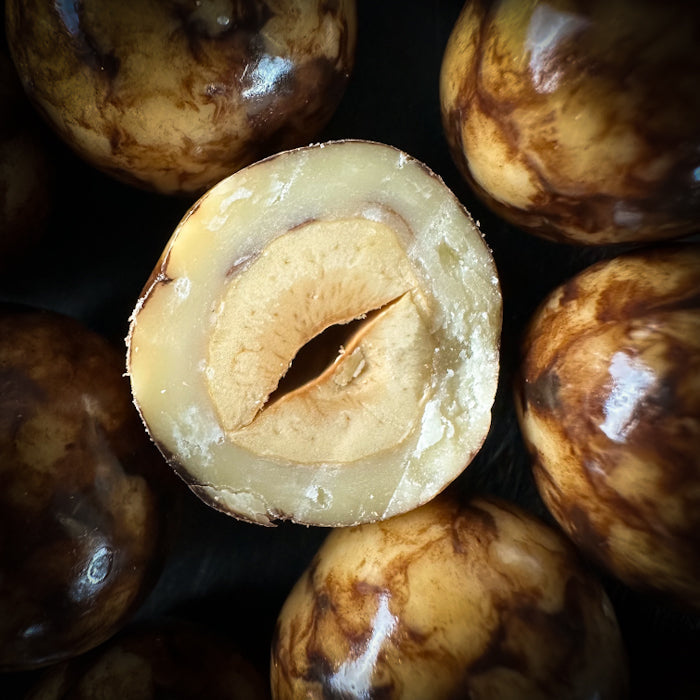 Lieli lazdu rieksti baltajā un piena šokolādē ar šokolādes kūkas garšu